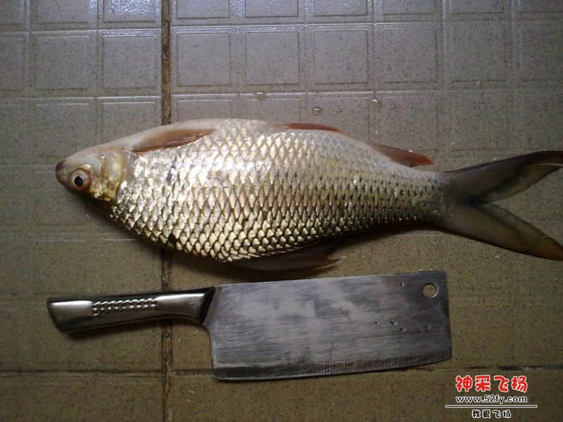20131208435.jpg
