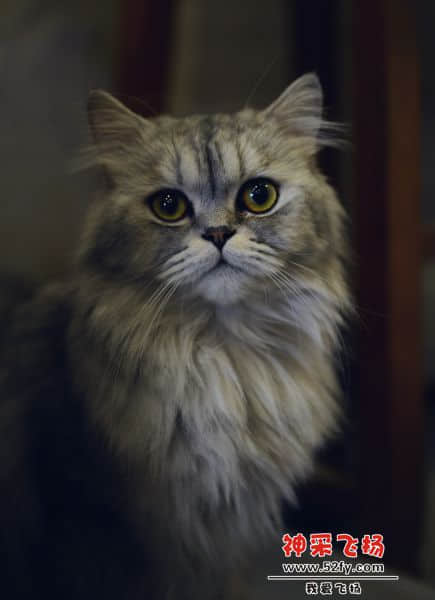 DSC_0293.JPG
