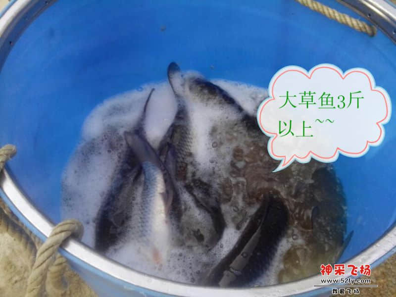 psb (5)_副本.jpg