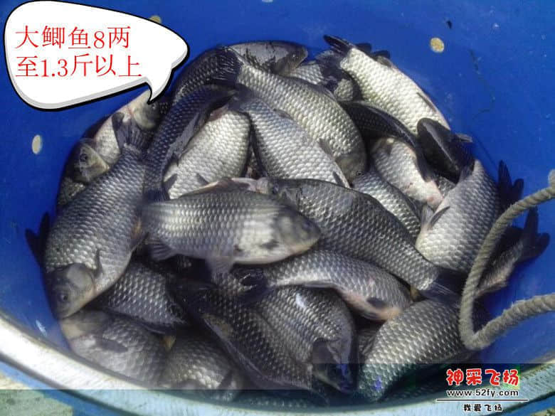 psb (9)_副本.jpg