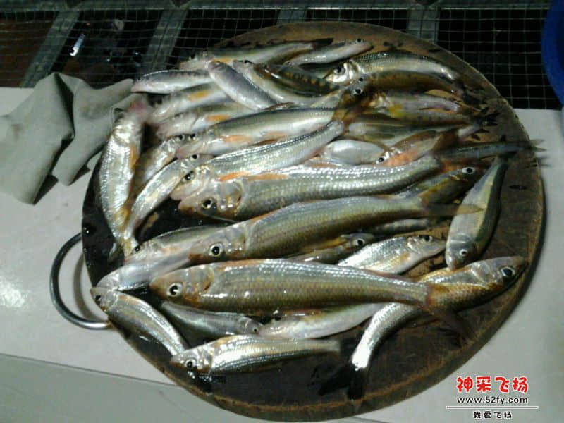 卫东1.jpg