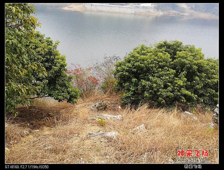 20140125_111139.jpg