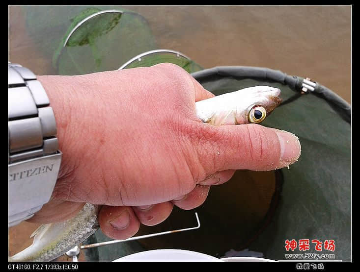 20140125_130004.jpg