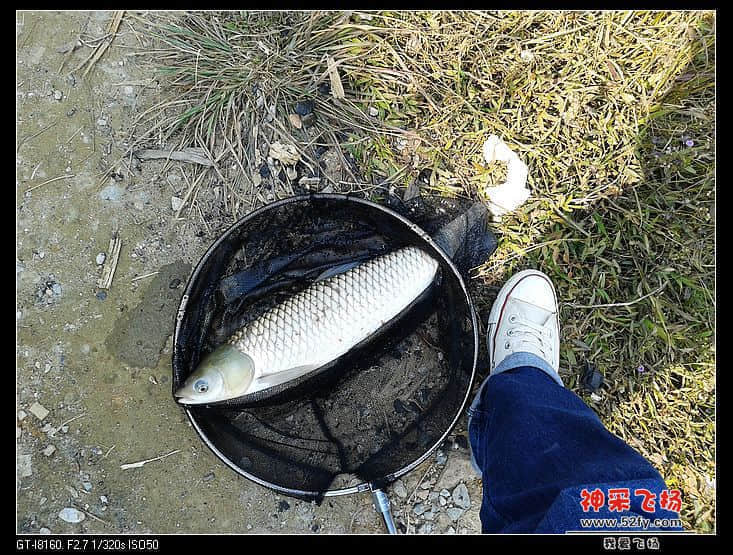 20140126_133136.jpg