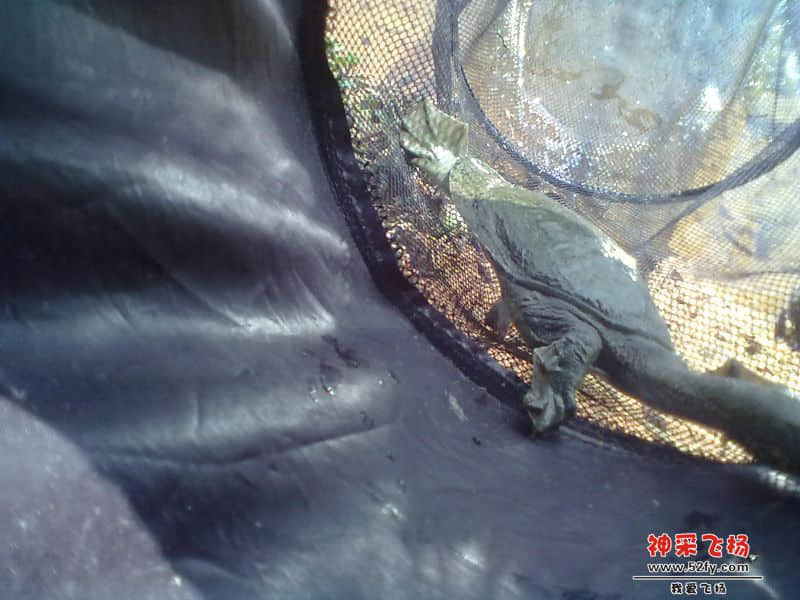 20140202023.jpg