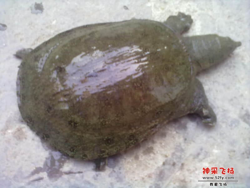 20140202028.jpg