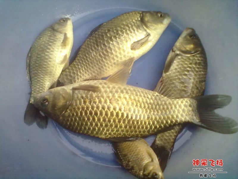 20140202029.jpg