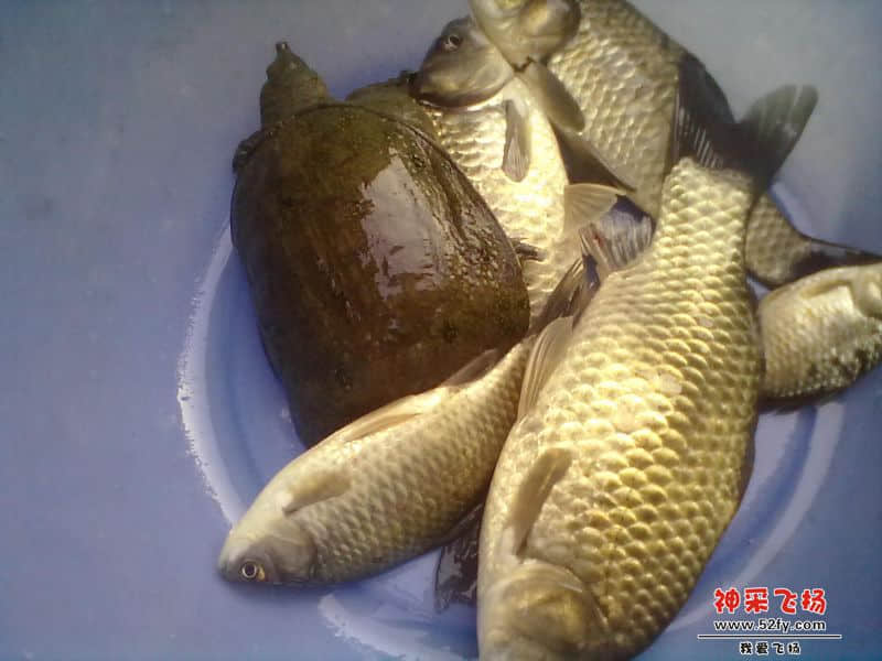 20140202030.jpg