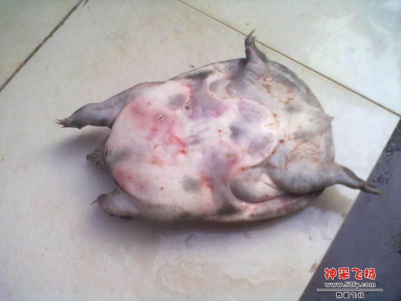 20140202033.jpg