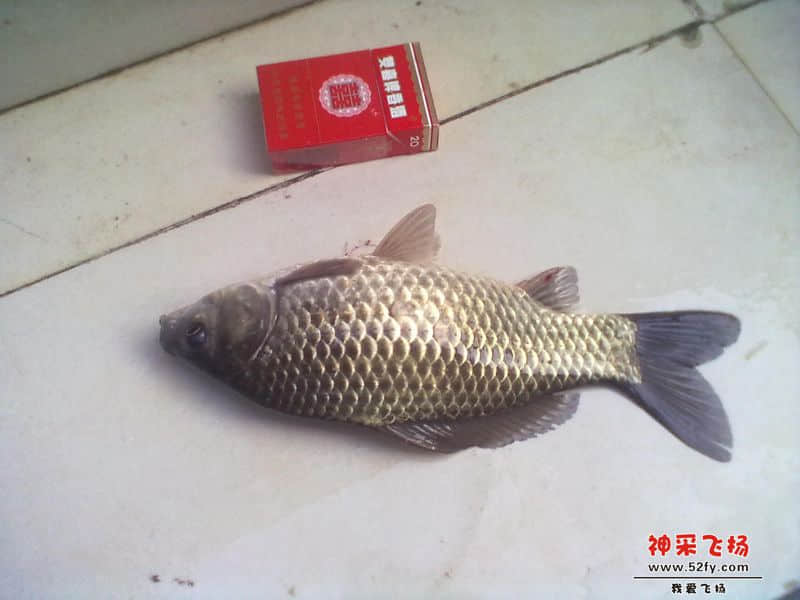 20140202034.jpg