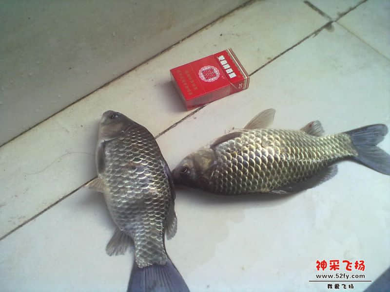 20140202035.jpg