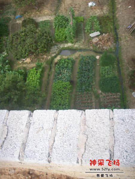 楼北侧菜地.JPG