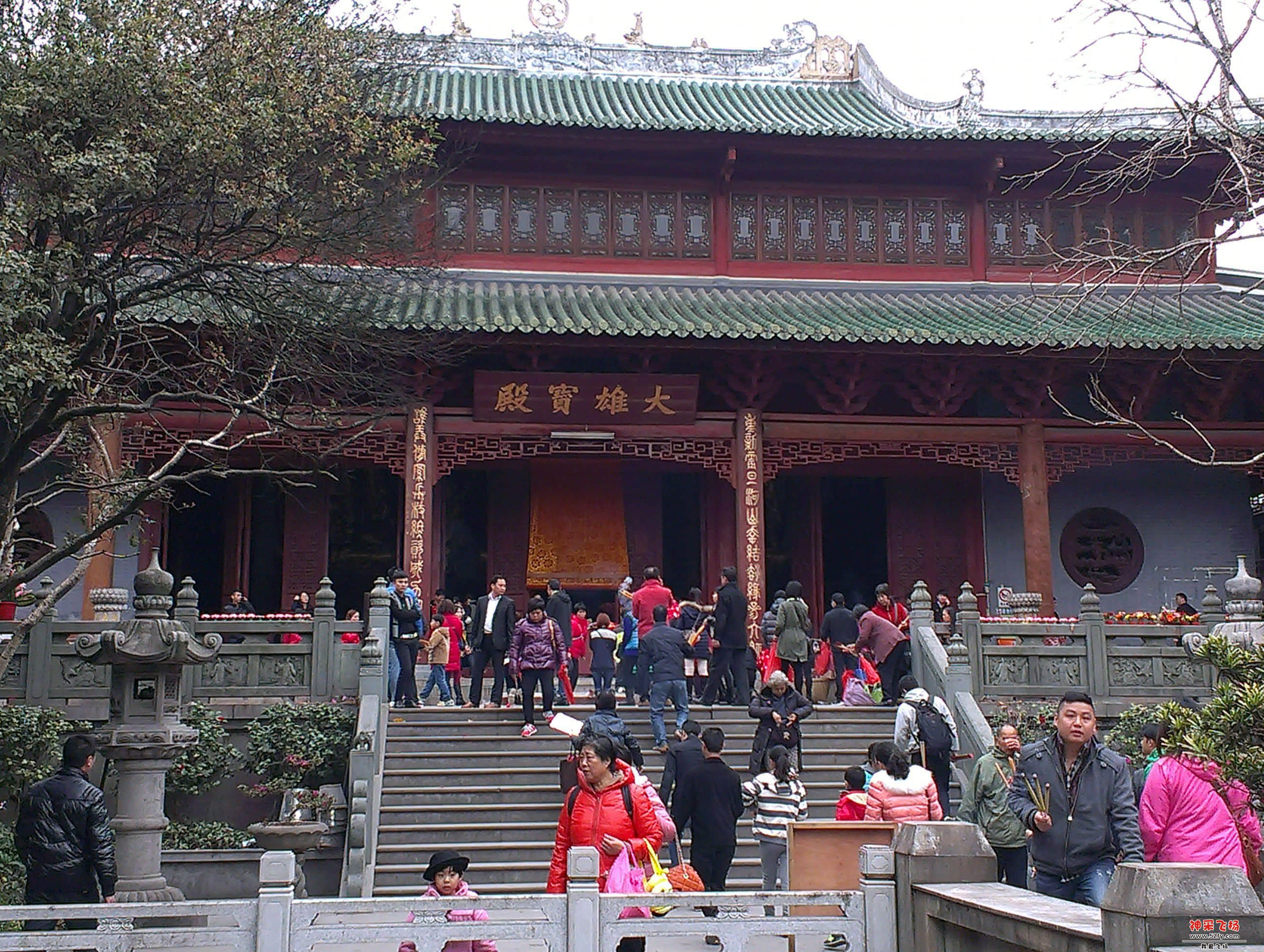 IMAG1468.jpg