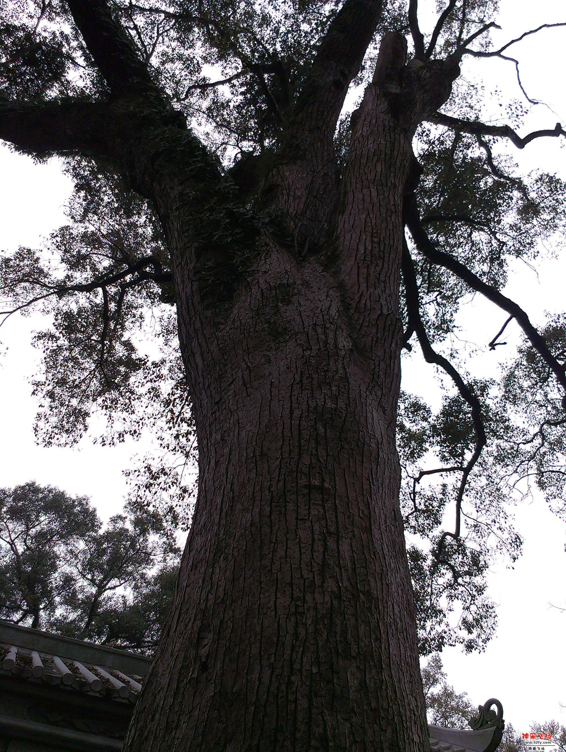 IMAG1496.jpg