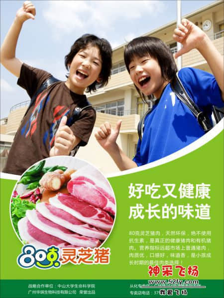 健康猪肉陪你成长