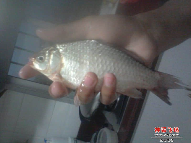 QQ图片20140115183752.jpg