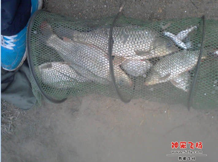 QQ图片20140212175713.jpg