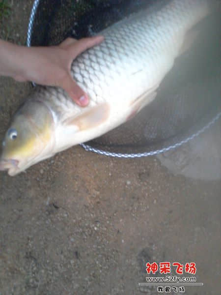 20140217_181914.jpg