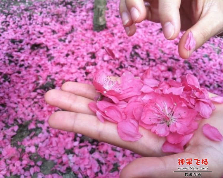 QQ图片20140223140229.jpg