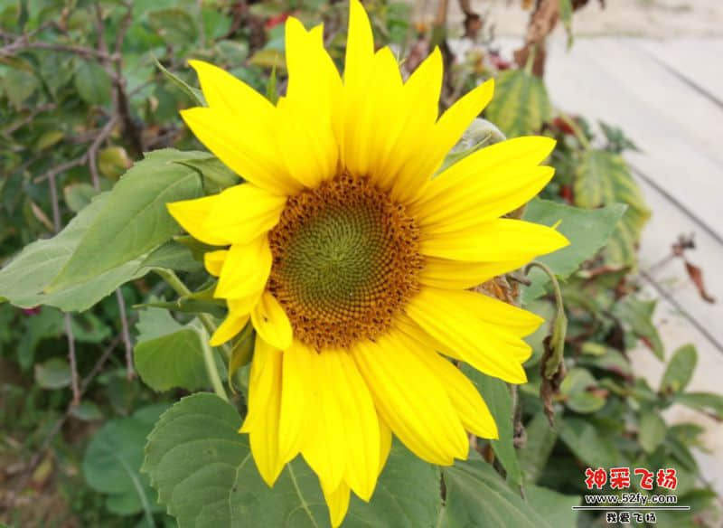 QQ图片20140224090756.jpg