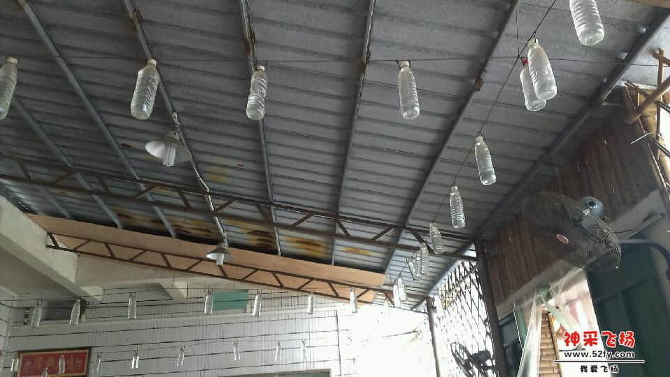IMAG0170.jpg