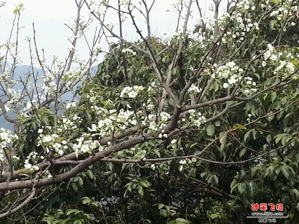 20140302_111655.jpg
