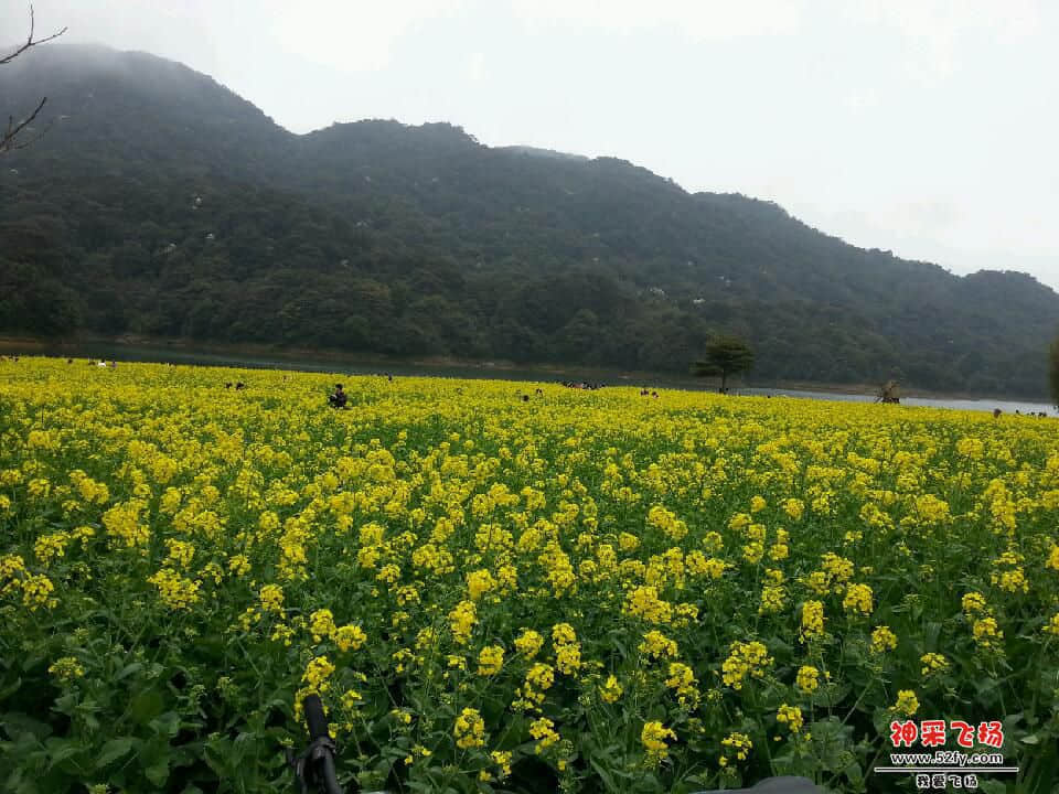 20140302_132437.jpg