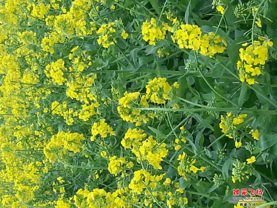 20140302_131320.jpg