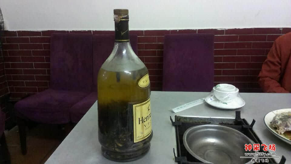 IMAG0022.jpg