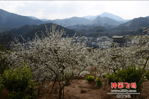 QQ截图20140311115728.png