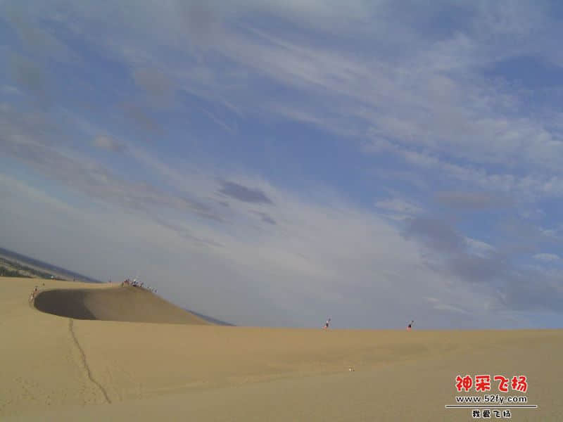 DSC00446.jpg