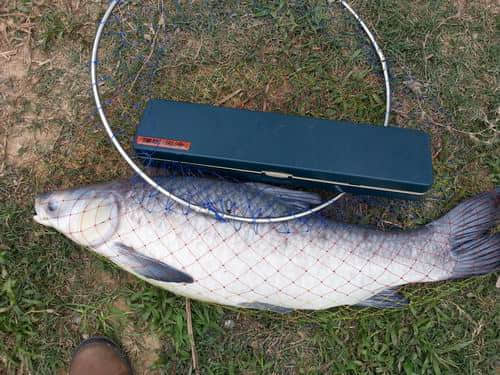 06.jpg