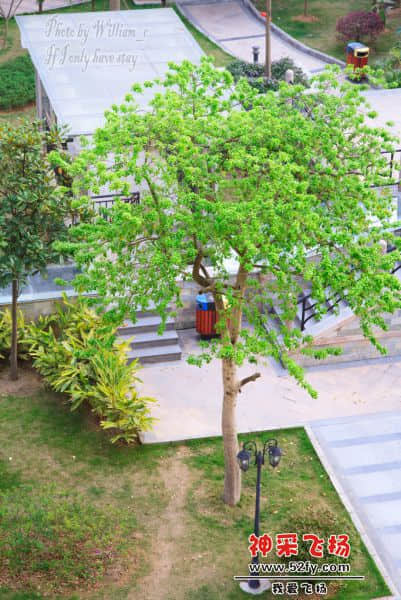 IMG_3137 副本.jpg