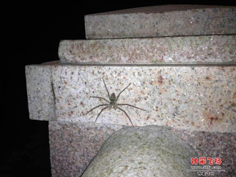 QQ图片20140504134108.jpg