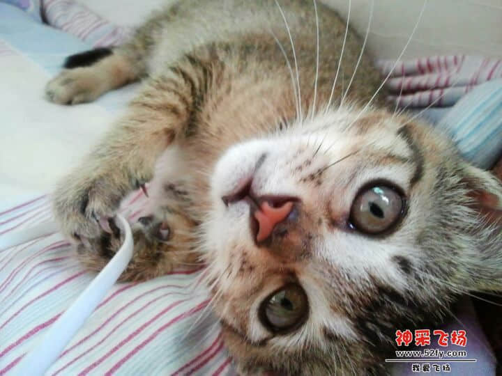 QQ图片20140515111111.jpg