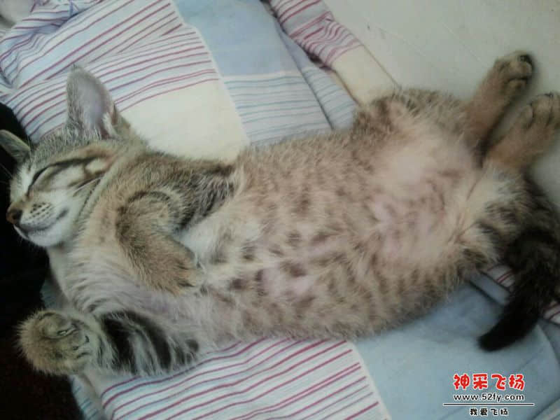 QQ图片20140515111124.jpg
