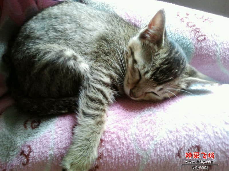 QQ图片20140515111127.jpg