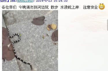 QQ图片20140523162543.jpg