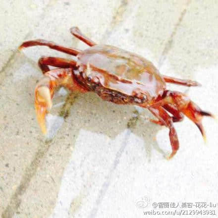 QQ图片20140523170456.jpg