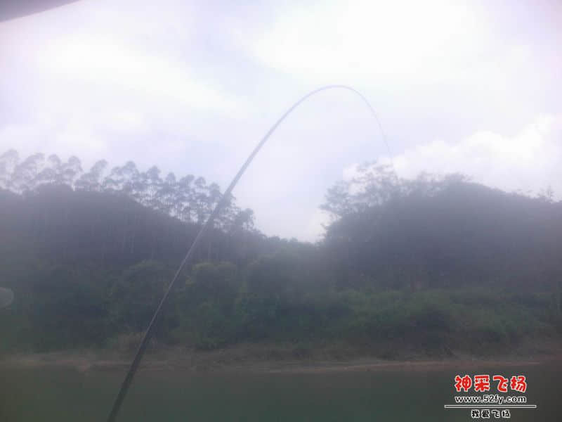 调整大小 IMG20140710006.jpg