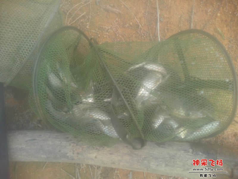 调整大小 IMG20140710029.jpg