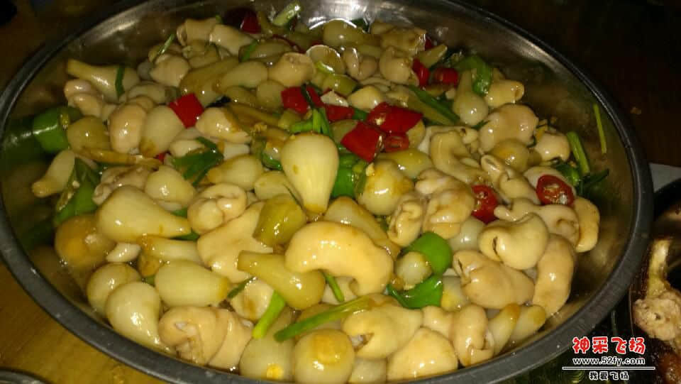 IMAG0745.jpg