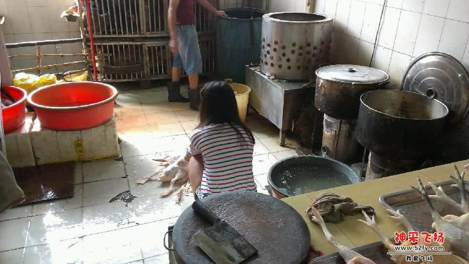 IMAG0758.jpg
