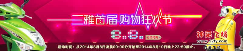 三雅电动车1