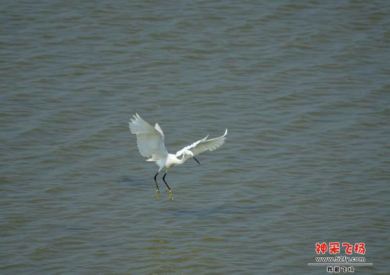 DSC0350”为智能对象-1.jpg