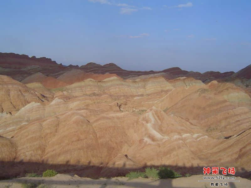 DSC00529_副本.jpg