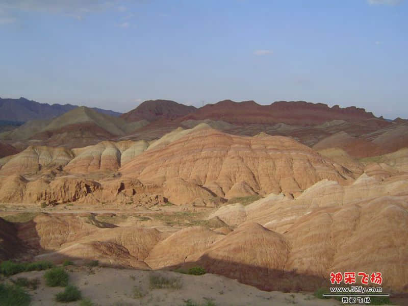 DSC00527_副本.jpg