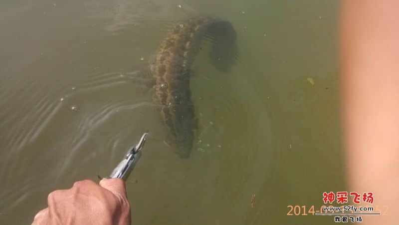 QQ图片20140916101302.jpg