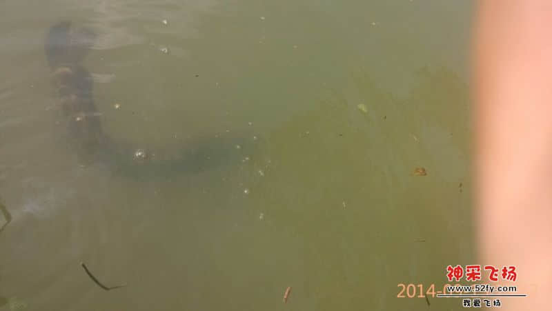 QQ图片20140916101306.jpg