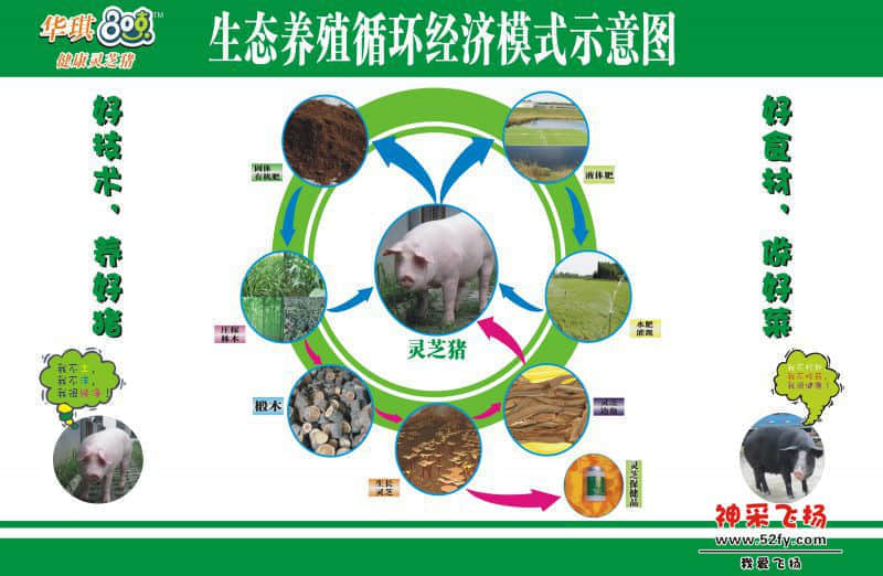循环图.jpg
